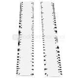 Regla pvc 30 cm | Articulos Promocionales