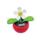 Flor solar eco-friendly | Promocionales